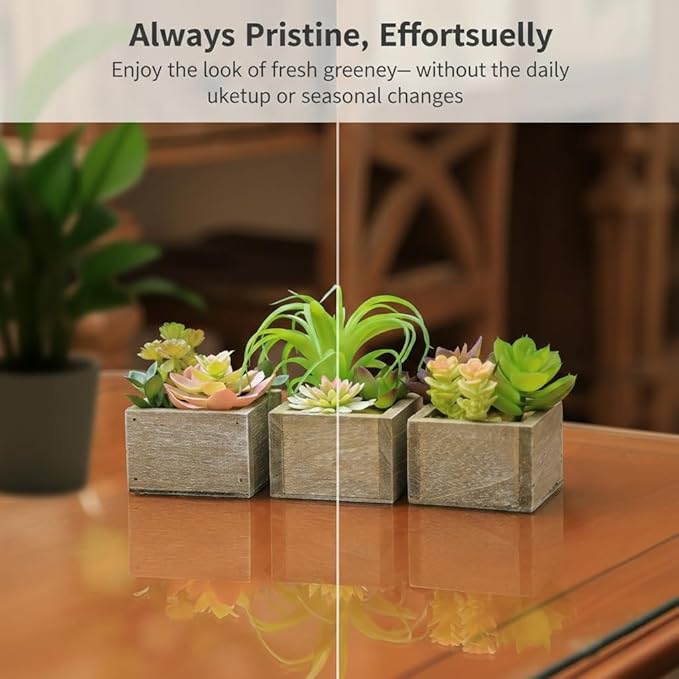 Mingfuxin Artificial Succulents Indoor, Set of 3 Mini Potted Greenery in Rustic Wood Planters, Tabletop Accent for Office, Bathroom Shelf, No Watering