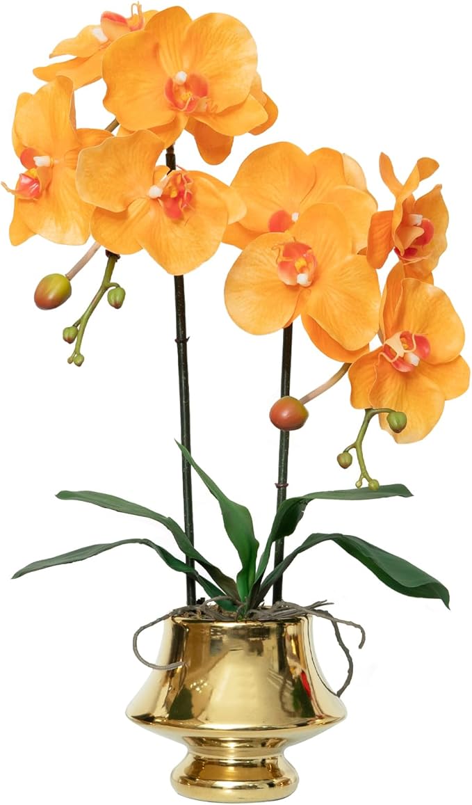 CXGS Orchids Artificial Flowers Realistic Fake Flowers in Ceramic Vase 20" Orange Faux Plants Indoor Lifelike Soft PU Phalaenopsis for Centerpiece Hotel Home Decor