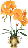 CXGS Orchids Artificial Flowers Realistic Fake Flowers in Ceramic Vase 20" Orange Faux Plants Indoor Lifelike Soft PU Phalaenopsis for Centerpiece Hotel Home Decor