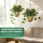Self-Watering Hanging Planters for Indoor Plants Set 2-Piece Includes Plant Hanging Pot, Drainage-Hole Hanging Pot, and Hanging Basket Rack (10 Inches, Green)