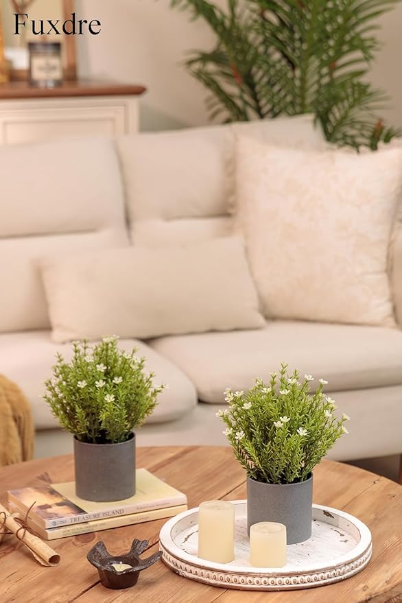2 Pack Small Desk Plants, Artificial Bathroom Plants Decor with Thyme Flower in Vintage Melamine Pots, Faux Plants Indoor for Shelf Decor in Home Office, and Spring Decor (Ivory)