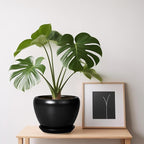 Ceramic Planter Pot - 6 Inch Plant Pot with Drainage Hole and Saucer Round Planter for Indoor Plants Outdoor Succulent Pot Modern Flower Pot for Home Decor Black