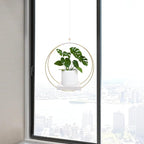 hismocal Hanging Planters for Indoor Plants, Plant Hanger with Sturdy Wood Base,Modern Boho Macrame Plant Hanger,Wall Ceiling Window Stands(Plants/Pots Not Included)