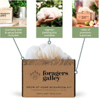 Lion's Mane Mushroom Growing Kit - 6lbs - Mushroom Grow Kit, Indoor Growing, Easy to Use, Grow Lions Mane at Home