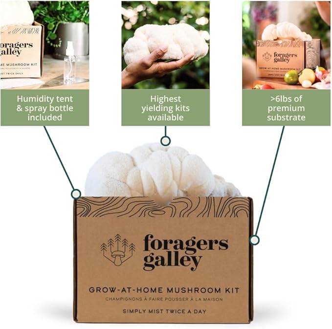Lion's Mane Mushroom Growing Kit - 6lbs - Mushroom Grow Kit, Indoor Growing, Easy to Use, Grow Lions Mane at Home