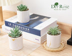 Der Rose 3 Pack Small Fake Plants Succulents Plants Artificial in Pots for Home Office Desk Decor for Women