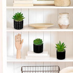 Briful Succulents Plants Artificial in Black Ceramic Pots (Set of 3), Small Fake Plants for Home Office Desk Decor – Modern Mini Potted Succulents for Bathroom, Bedroom, Living Room Table, Shelf