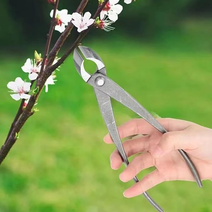 Bonsai Tools, Concave Branch Cutter 8 Inch Carbon Steel Cutter Bonsai Tree Tools for Gardening