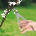 Bonsai Tools, Concave Branch Cutter 8 Inch Carbon Steel Cutter Bonsai Tree Tools for Gardening