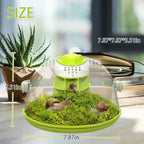Snail Terrariums Breeding Box, Round Habitat Starter Terrarium Kit, Transparent Feeding Box, Ideal for Beetles, Spiders and Small Reptile