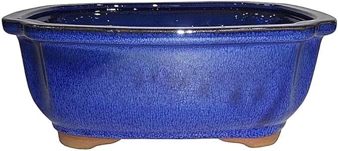 Brussel's 7" Lotus Bonsai Glazed Ceramic Pot (Medium, Blue)