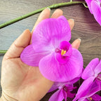 2 Pcs Orchid Stems 38" Artificial Flowers Real Touch Latex Faux Phalaenopsis Branches White Artificial Flowers for Wedding Party Home Garden Decor (Purple, 38“)