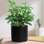 Yukfona Ceramic Plant Saucer Pot Tray 2 pack-12 Inch, Planter Saucers 4 5 6 7 8 9 10 11 12 Inch for Indoors Outdoor, Durable Sturdy Flower Drainage Tray for Glazed Pots Base (12.5 Inch-2-Black)
