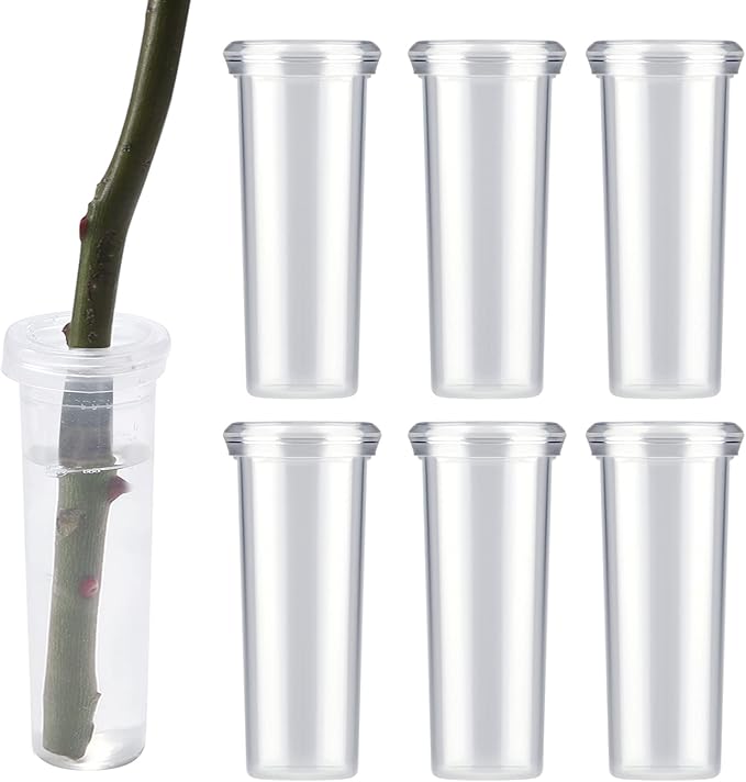 AIEX 6pcs 60ml Flower Water Tubes with Lid, Large Plastic Floral Water Tubes, Flower Tubes for Fresh Flowers Sunflower Milkweed Cutting Arrangement 4.1x1.8inch/10.8x3.6cm (Transparent)