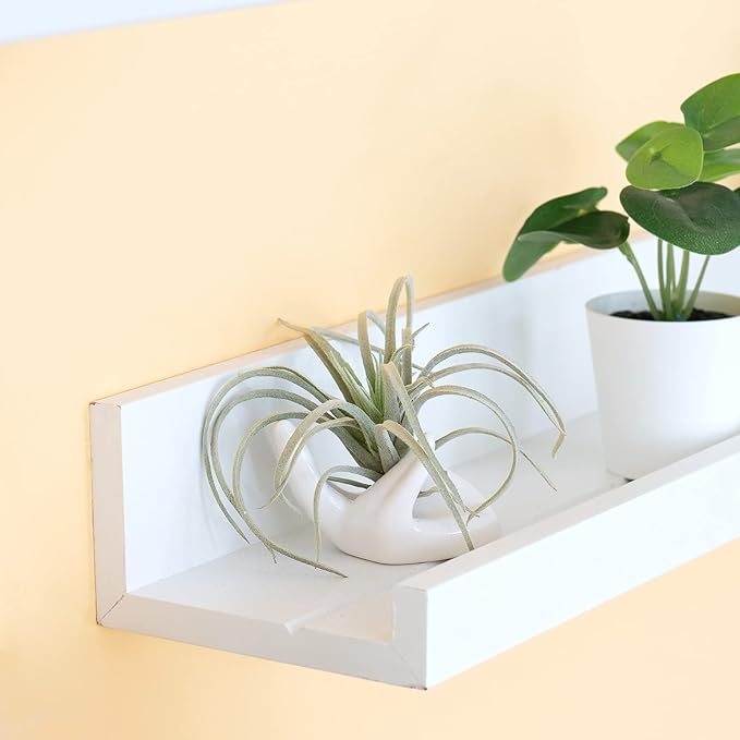 Dahey Air Plant Holder Cute Ceramic Mini Hand Shape Stand Airplants Tillandsia Small Container Pot Plant Decorative Home Decor for Desk Table Shelf,White,3 Packs