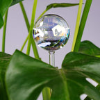 Tomorotec [2 PCS] Light Iridescent Rainbow Gradient Color Clear Glass Self-Watering System Spikes, Automatic Plant Waterer Bulbs