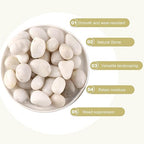 20LB River Pebbles Polished Gravel for Plants Natural White Plant Stones River Rocks 3/4-1 5/8 Inch River Stones for Landscaping Small Pebbles for Crafts