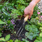 GTH/SWF Burgon and Ball Stainless Steel Weeding Fork