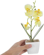 Angoily Artificial Orchid Flowers with Vase Realistic Faux Orchid Plants for Home Decor Dining Table Centerpiece for Living Room and Office