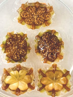 Lithops Seed Mix Freshly Harvest Pack of 50 Seeds Mix