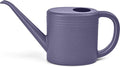 Plastic Watering Can for Plant Garden - with Long Stem - 1/4 Gallon - Purple