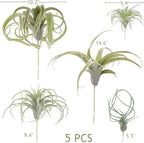 5PCS Artificial Flocking Tillandsia Air Plants Faux Succulents Bromeliads for Indoor/Outdoor Garden and Home Decor, Terrarium Decorations, Arrangements, Office and Displays(Assorted)