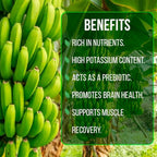 Banana Tree Dwarf Cavendish (4 Pack) Live Banana Plant for Sale | Easy to Grow Plants | Edible Fruit Plant. | Grow Your own Food on Your Edible Organic Garden|Live for Planting|