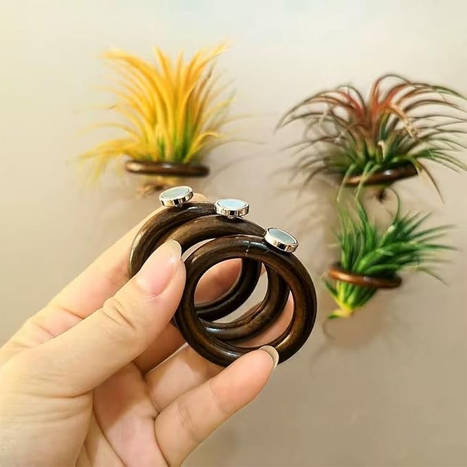 6 Pcs Air Plant Holder Magnet - Brown Small Air Plant Display Stand Air Plant Hanging Plant Wall Mount Holder Wooden for Live Tropical Plant Home Office Decoration Supplies (Plants Not Included)
