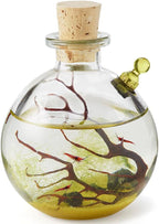 Shrimp Bubble Self-Sustaining Ecosystem