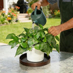 1 Pack 12 inch Plant Saucer Drip Tray, Heavy Sturdy Plastic Planter Flower Pot Drainage Tray Plate Saucers for Indoor Outdoor Garden, Plant Water Drip Trays for pots Base (12", Chocolate)