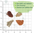 Premium Aquarium Plant Seeds for Planting – 8,000+ Live Mixed Seeds, 4 Varieties – Easy-to-Grow Aquatic Greenery for Lush, Vibrant Fish Tanks