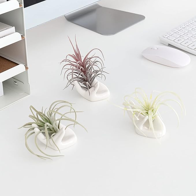Dahey Air Plant Holder Cute Ceramic Mini Hand Shape Stand Airplants Tillandsia Small Container Pot Plant Decorative Home Decor for Desk Table Shelf,White,3 Packs