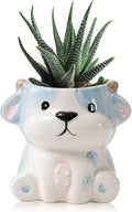 DIYOMR Cute Animals Planter, Mini Ceramic Cartoon Animal Shaped Succulent Flower Pot Indoor Air Plants Holder, Smooth Shiny Decorative Flower Cactus Planter - Plants Not Included (Cow)