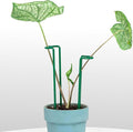Indoor Plant Stakes – 8.7" U-Shaped Durable Iron Support for Monstera & Potted Plants, Perfect for Small to Medium Climbing Plants, 10-Pack, Ideal for Home Décor & Plant Lovers