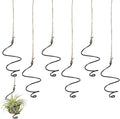 6 Pack Air Plants Live Holders Hanging Air Plant Holder Adjustable Rust-Resistant Iron Rings With Jute Ropes Soilless Stand Display Container For Tillandsia Succulents Home Office Decor Black