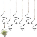 6 Pack Air Plants Live Holders Hanging Air Plant Holder Adjustable Rust-Resistant Iron Rings With Jute Ropes Soilless Stand Display Container For Tillandsia Succulents Home Office Decor Black