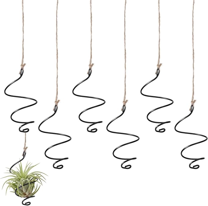 6 Pack Air Plants Live Holders Hanging Air Plant Holder Adjustable Rust-Resistant Iron Rings With Jute Ropes Soilless Stand Display Container For Tillandsia Succulents Home Office Decor Black