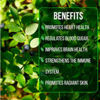 Blueberry Plant Biloxi (4 Pack) Live for Sale | Easy to Grow Plants | Edible Fruit Plant for Sustainable Living | Grow Your own Food on Your Edible Organic Garden| Live for Planting| No Seeds