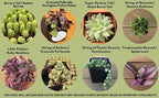 Live Trailing Mystery Succulent (9‑Pack) | Well‑Rooted 2″ Pots | Hanging Basket Starters | DIY Decor & Gift‑Ready