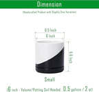 D'vine Dev 6.5 Inch Ceramic Planter Pot with Drainage Hole and Saucer, Indoor Cylinder Round Planter Pot, Oblique Monochrome Black and White, 94-O-C-K