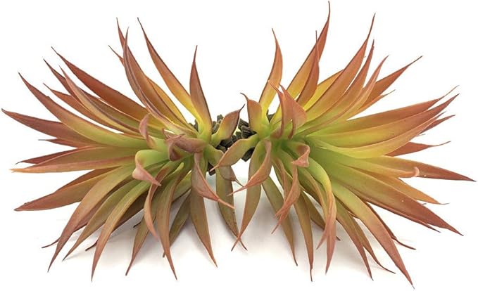 2 PCS Artificial Succulents Plants Real Touch Lifelike Succulants Plants Faux Greenery Plants Garden DIY Home Office Decoration Ornament (Red Agave)
