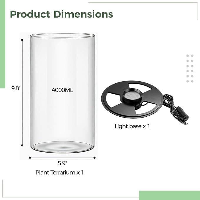 Desktop Glass Plant Terrarium with Grow Light 10 X 6IN - Planter for Succulent Moss Miniature Gardening Landscape, Fish Tank Indoor Plant Growth Office Home Decoration Plant Lovers Gifts