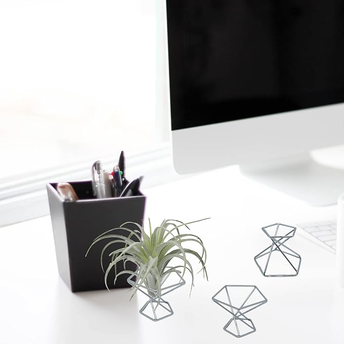 20 PCS Air Plants Holders Unique Geometric Metal Plant Stands Airplants Container Live Air Fern Display Racks Small Decor Items for Shelf (Silver)