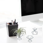 20 PCS Air Plants Holders Unique Geometric Metal Plant Stands Airplants Container Live Air Fern Display Racks Small Decor Items for Shelf (Silver)