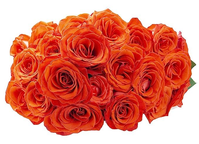 KaBloom - Orange Roses 24 with Greens Bouquet - Fresh Flowers for Birthday, Valentine's & Mother's Day