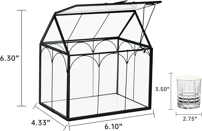 Ferrisland Glass Plant Terrarium Container Wardian Case Indoor Small Succulent Terrarium Planter W/Door for Tabletop Decor DIY (6" L x 4.3" W x 6.3" H)