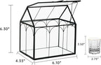Ferrisland Glass Plant Terrarium Container Wardian Case Indoor Small Succulent Terrarium Planter W/Door for Tabletop Decor DIY (6" L x 4.3" W x 6.3" H)