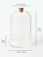 Handblown 7" Glass Terrarium with Opening for Air Flow & Cork Stopper Cloche Style Glass Dome Vivarium Display Case (Small)