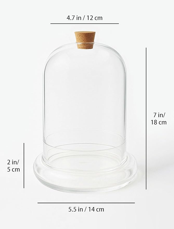 Handblown 7" Glass Terrarium with Opening for Air Flow & Cork Stopper Cloche Style Glass Dome Vivarium Display Case (Small)