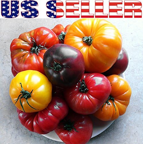 This is A Mix 30 Rainbow Deluxe Tomato Seeds Mix 16 Varieties, Heirloom Non-GMO, Indeterminate, Old German, Chocolate Stripes, Ukrainian Purple, Amish Paste USA Grown Solanum lycoperscium
